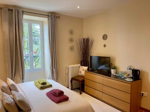 TV a/nebo společenská místnost v ubytování Gites du Caylar - Chambres et Appartments