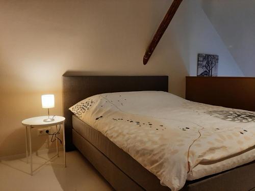 Appartementen Hoek 2 في Baflo: غرفة نوم بسرير وطاولة مع مصباح