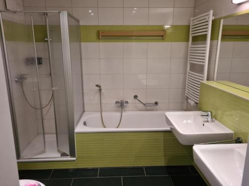 a bathroom with a shower and a tub and a sink at Der Landhof Weide in Stolpe auf Usedom