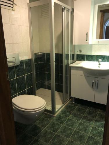 a bathroom with a toilet and a shower and a sink at BEST HOUSE APART HOTEL-2 in Alanya