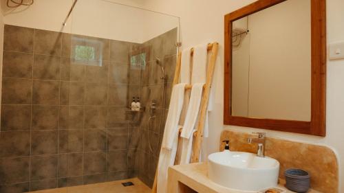 a bathroom with a shower and a sink and a mirror at Villa Hibiscus Zanzibar in Jambiani