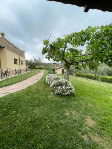 Ein Garten an der Unterkunft Agriturismo La Rustica