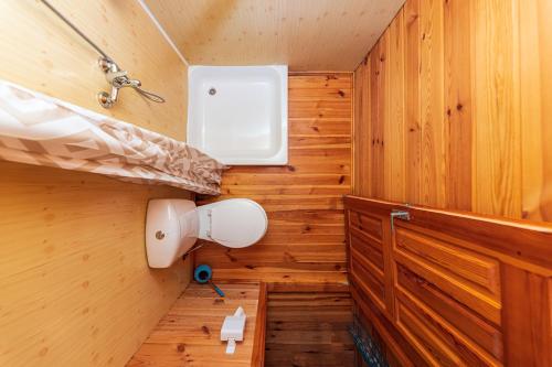 a bathroom with wooden walls and a toilet at Žaliasis kampas Nameliai Šventojoje in Šventoji