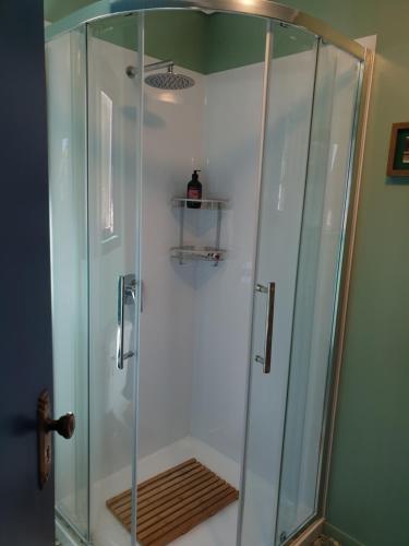 eine Dusche mit Glaskabine im Bad in der Unterkunft ART DECO 1930s Design in Napier