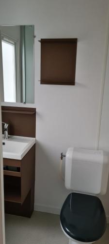 uma casa de banho com um WC branco e um lavatório. em Mini-chalet - Vakantiepark 't Urkerbos em Urk