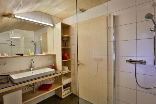 La salle de bains est pourvue d'un lavabo et d'une douche. dans l'établissement Haus Elfriede, à Schwarzenberg im Bregenzerwald