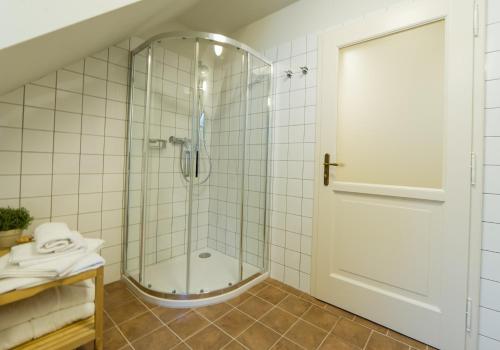 a bathroom with a shower with a glass door at Aparthotel & Wellness Knížecí cesta in Horní Planá