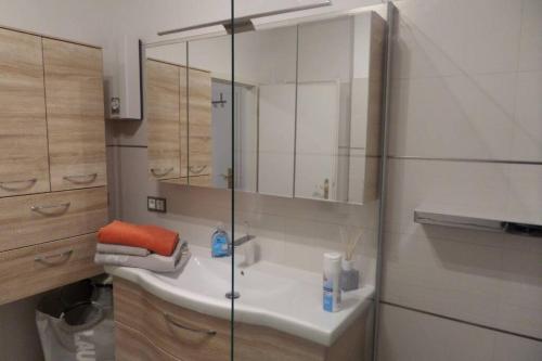 uma casa de banho com um lavatório e uma cabina de duche em vidro. em Apartment Am Kurpark em Bad Frankenhausen