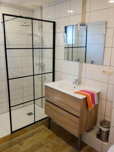 une salle de bain avec un lavabo et une douche en verre dans l'établissement Maison de la Ferme, à Lézardrieux