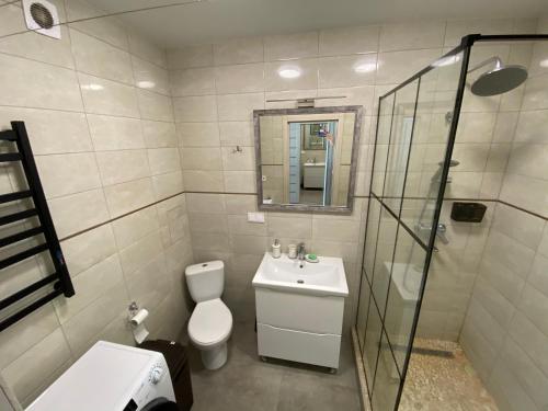 uma casa de banho com um WC, um lavatório e um chuveiro em Апартаменты в ЖК " 30я Жемчужина KADORR" em Liski