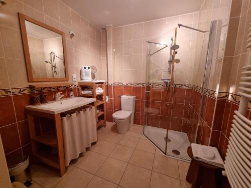 La salle de bains est pourvue de toilettes, d'un lavabo et d'une douche. dans l'établissement Chambre d'hôtes à Mignaloux-Beauvoir- le Thil, à Mignaloux-Beauvoir