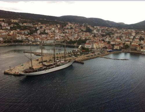 Φυσικό τοπίο κοντά σε αυτό το διαμέρισμα