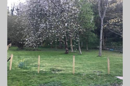 a fence in a field with trees and grass at Historic 17th century farmhouse in Wales in Gwernymynydd