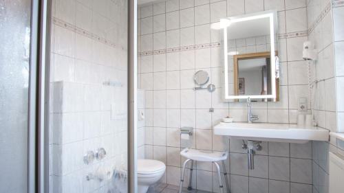 a bathroom with a toilet and a sink and a mirror at Landhaus Ehrengrund in Gersfeld