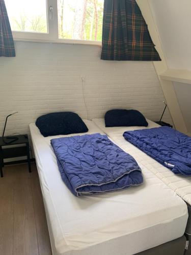 2 Betten in einem Zimmer mit blauen Kissen darauf in der Unterkunft Vosseven 79 Melkeppe in Stramproy