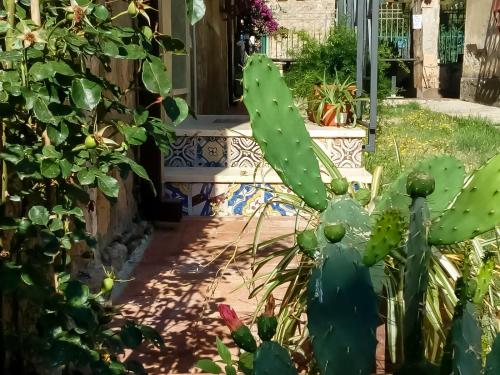 a green cactus in front of a house at Annina Home in Paestum