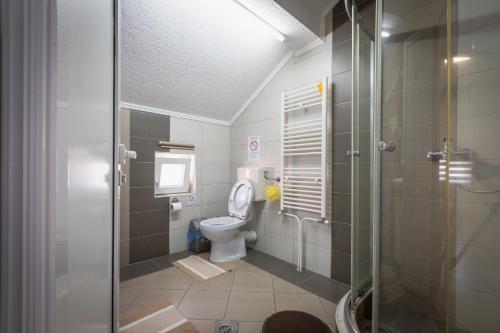 a bathroom with a toilet and a shower at G apartments in Gevgelija