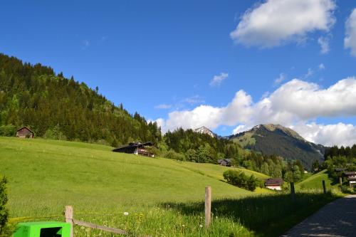 Une colline herbeuse avec des maisons et une montagne dans l'établissement Geniesserhotel Le Grand Chalet, à Gstaad