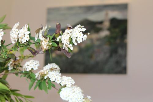 a vase with white flowers in front of a painting at Villa Arancia Quiet, Central, Parking and Air Conditioning in Levanto
