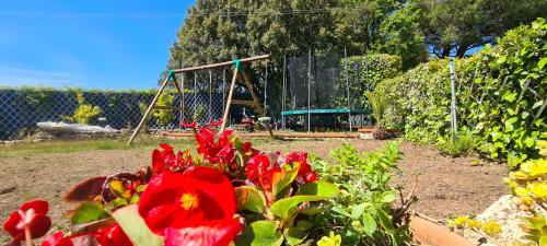 Ein Kinderspielbereich in der Unterkunft L'uliveta del Luschi Villa, piscina privata e campo da tennis, playground, wi-fi & pet friendly