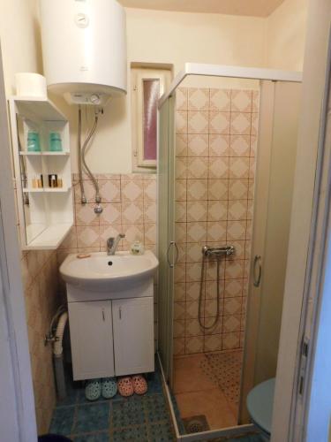 a small bathroom with a shower and a sink at Villa Anna in Palić