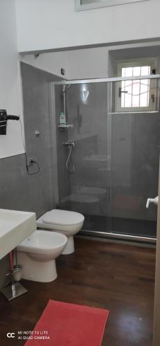 La salle de bains est pourvue de toilettes et d'une douche en verre. dans l'établissement COSENZAGUESTHOUSE, à Cosenza
