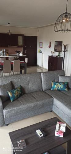 sala de estar con sofá gris y cocina en Fotini's Apartment, en Nea Peramos