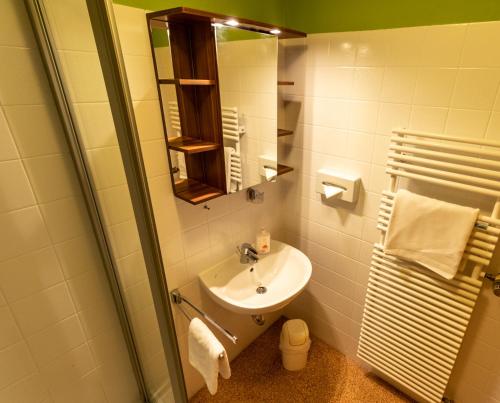 a bathroom with a sink and a mirror at Landhotel Kühler Grund in Grasellenbach