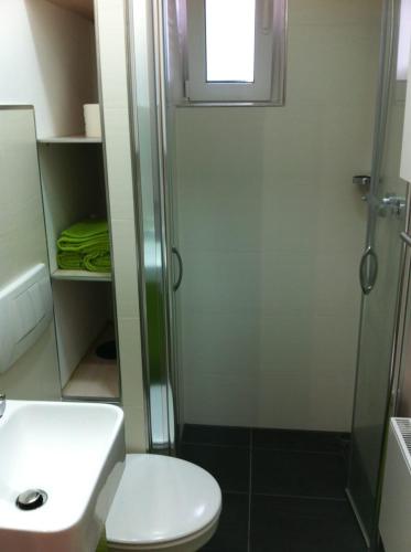 a bathroom with a shower and a toilet and a sink at Joanna Apartment - MA Rheinau 3 in Mannheim