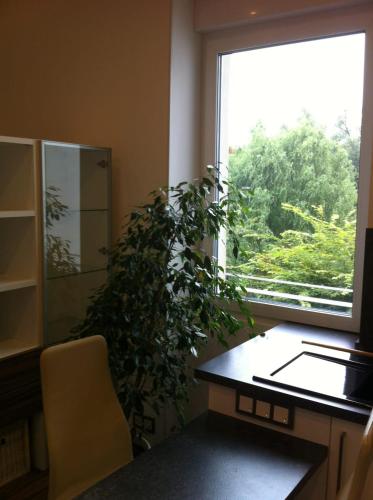 a room with a desk and a plant next to a window at Joanna Apartment - MA Rheinau 3 in Mannheim