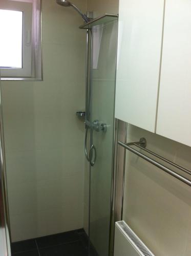 a shower with a glass door in a bathroom at Joanna Apartment - MA Rheinau 3 in Mannheim