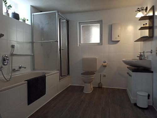 a bathroom with a toilet and a shower and a sink at Alte Schmiede Neustadt in Neustadt an der Weinstraße