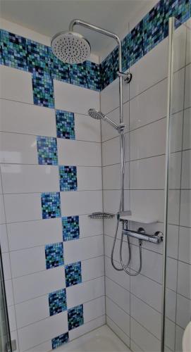 a bathroom with a shower with blue and white tiles at Friesenkate Bensersiel in Esens