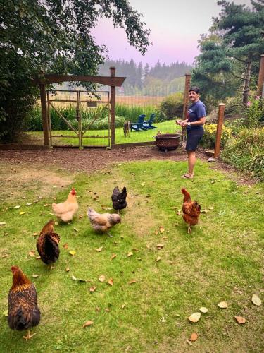 a man standing in a field with chickens in the grass at Otter's Pond Bed and Breakfast in Eastsound