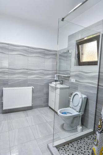 a bathroom with a toilet and a glass shower at Casa Nely in Sighetu Marmaţiei
