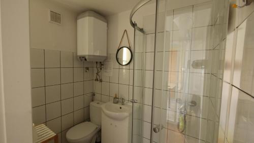 ギジツコにあるMazurska Kwatera-Rezerwat Fuledzki Rógのバスルーム(トイレ、鏡付きシャワー付)