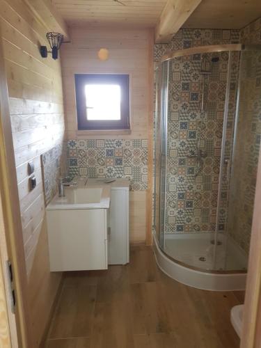 a bathroom with a sink and a shower at Gucio2 in Zwierzyniec