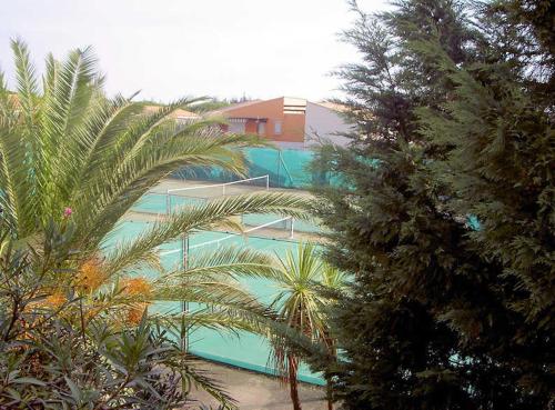 una piscina con palmeras frente a un edificio en Appartement Tennis Village Cap d'Agde en Cap d'Agde