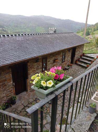 a planter with flowers on the balcony of a house at Apartamento" El Carballo" in San Tirso de Abres