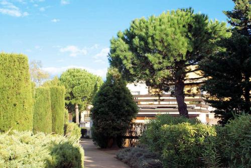 un jardin avec un arbre et des buissons et un bâtiment dans l'établissement Appartement Tennis Village Cap d'Agde, au Cap d'Agde