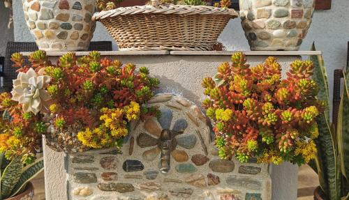 a bunch of flowers on a table with vases at Pelion Platanidia seaside house in Platanidia