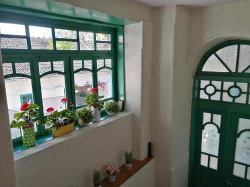 a green window with potted plants on a window sill at Hello Nature House - Cheile Nerei, Carasului, Garlistei in Giurgiova