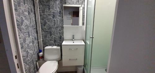 ein Badezimmer mit einem WC, einem Waschbecken und einem Spiegel in der Unterkunft Les carcahutes l'appart in Audresselles