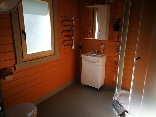 Ein Badezimmer in der Unterkunft Pie Putniem