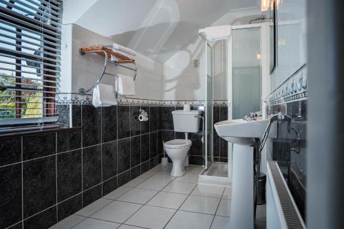 uma casa de banho com um WC e um lavatório em Woodside Lodge accomodation em Westport