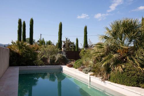 une piscine dans un jardin planté de palmiers dans l'établissement la maiZon, à Mazan
