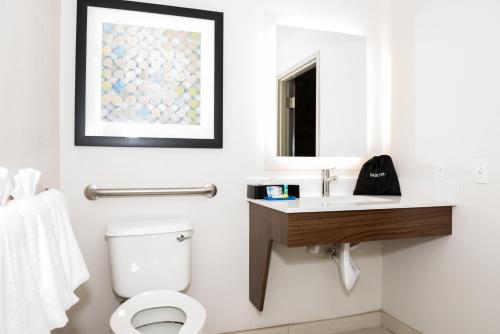 a bathroom with a toilet and a sink and a mirror at Holiday Inn Express Hotel & Suites Tampa-USF-Busch Gardens by IHG in Tampa