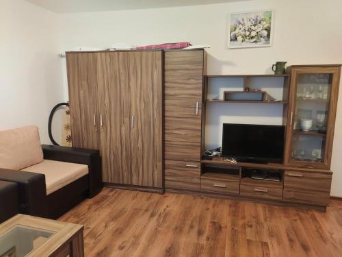a living room with a tv and a large entertainment center at Byala COZY APARTMENT in Byala