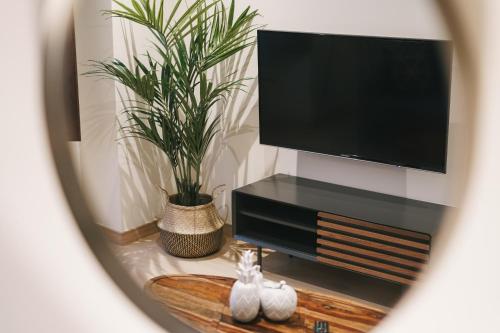 a living room with a tv and a table with a plant at Debambú Atarazanas in Málaga