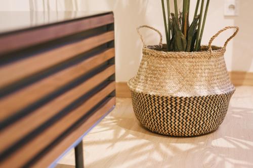 a plant in a basket next to a bench at Debambú Atarazanas in Málaga